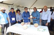 Agriculture Minister Zulfikar Mustapha on Monday officially released the GRDB-18 rice variety for commercial cultivation at Nooten Zuil, East Coast Demerara