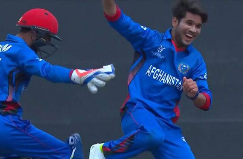 Afghanistan handed New Zealand a 202-run drubbing in Christchurch to advance to the semi-finals.