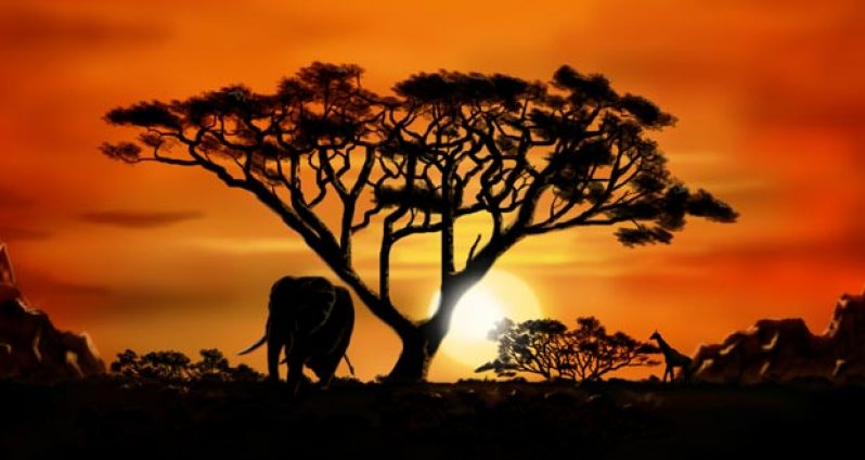 african_landscape_by_dasflon-d5l9t7c5