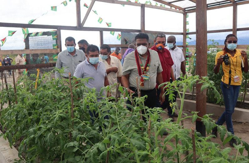 Agriculture Minister, Zulfikar Mustapha, during a tour of the recently commissioned shade house in Nappi Village (Ministry of Agriculture photo)