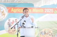 Agriculture Minister, Zulfikar Mustapha