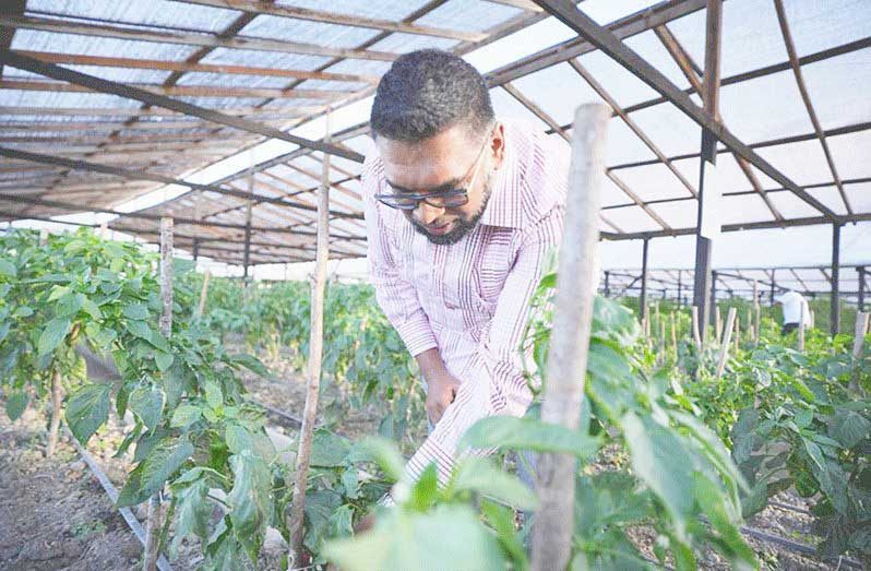 agri