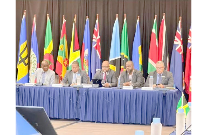 Minister within the Ministry of Agriculture, Vickash Ramkissoon recently highlighted Guyana’s regional food-production progress at the COTED special meeting