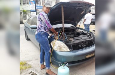 Vehicle A/C technician Ann Marie Machado.