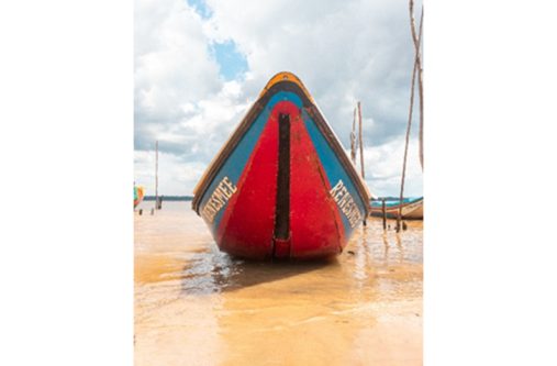 One of the large impressive prints done by Rixon Williams in Bartica.