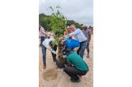 Minister Vickram Bharrat plants first bamboo at a Region 10 pilot site in Three Friends/Old Coomacka Mines