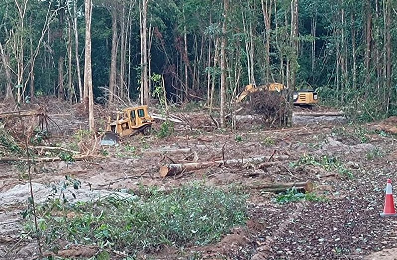 The new housing area at Bartica being cleared