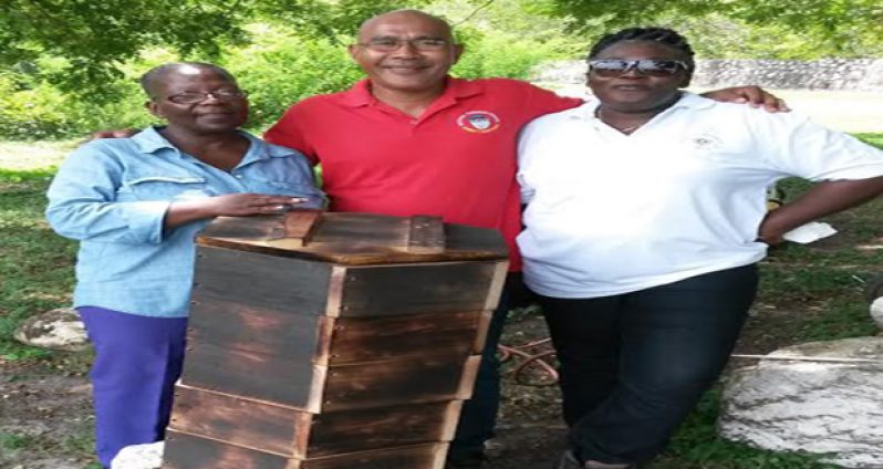 From left, veteran bee-keepers Janice Fraser, Toshao of Mainstay/Whyaka Village Joel Fredericks, and Carlotta De Jesus, with the newly acquired revolutionary Perone hive
