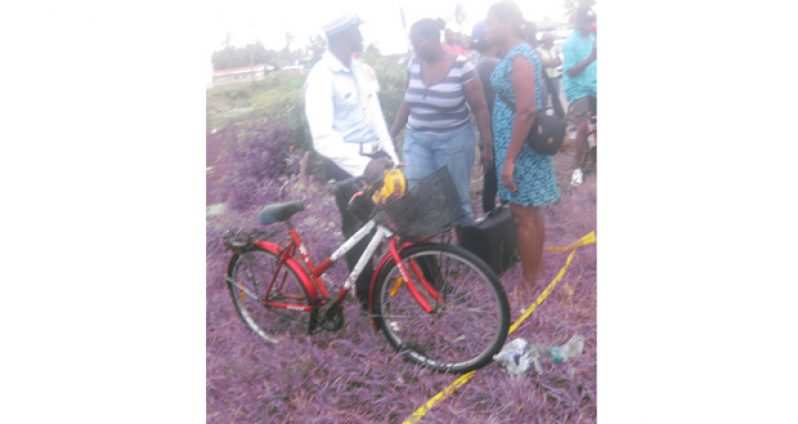 A policeman with Dovan Sheppard’s bicycle, which was removed from the trench