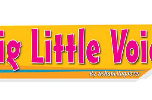 big_little_voice2