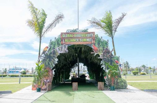 The stage is set for the Global Biodiversity Alliance Summit