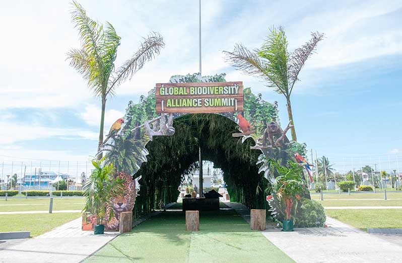 The stage is set for the Global Biodiversity Alliance Summit
