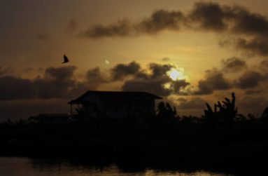 A scene of serenity from Black Bush Polder, Berbice. (Photo by Vishani Ragobeer)