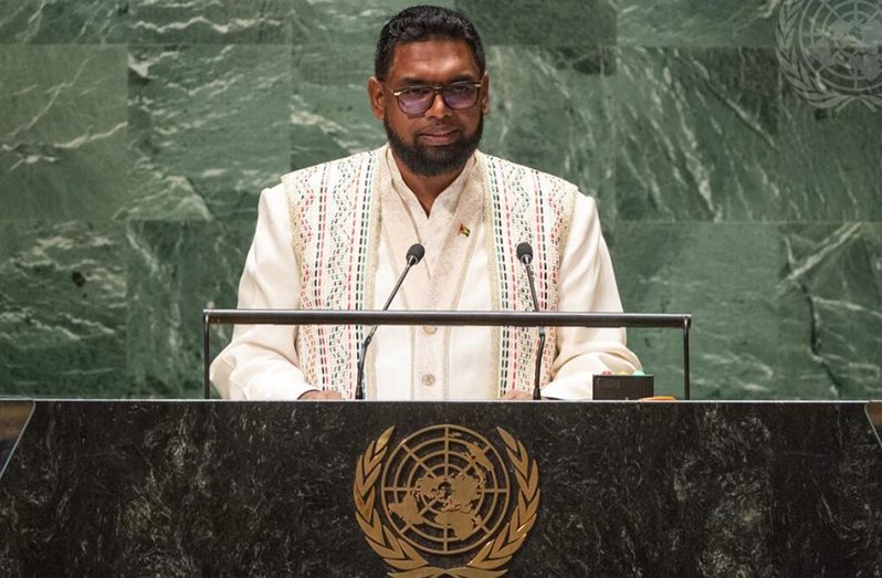 President Dr. Irfaan Ali (United Nations photo)