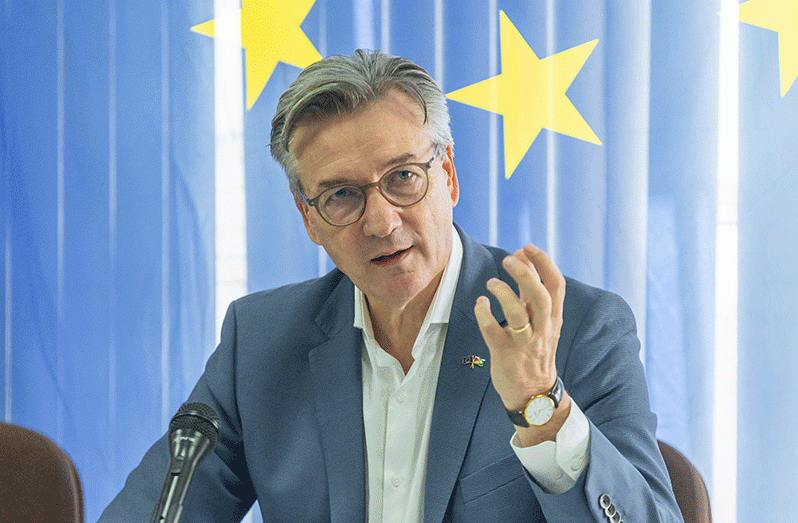 EU Ambassador to Guyana René van Nes