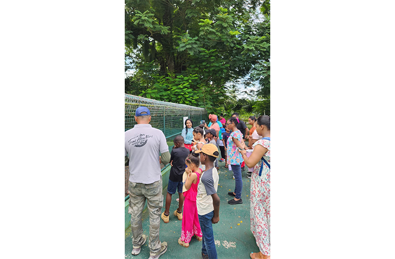 Scenes from the Botani’Kids Tour by Trail Masters  (Photos courtesy of Trail Masters Adventure Tours)