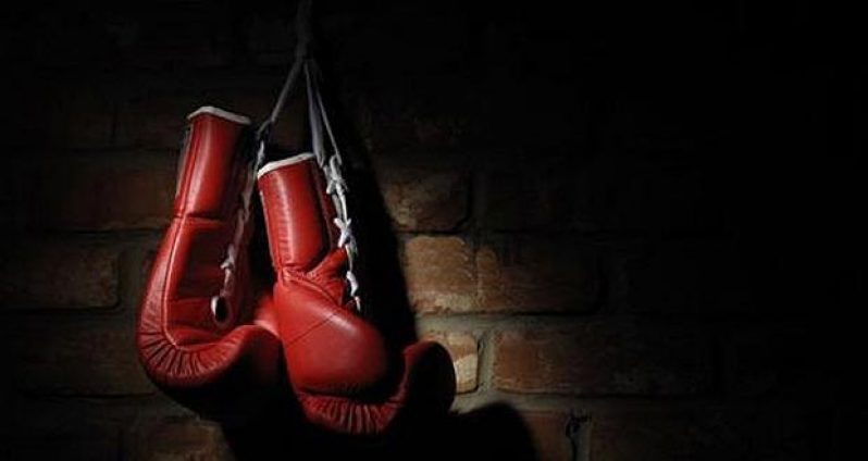 boxing_gloves_21