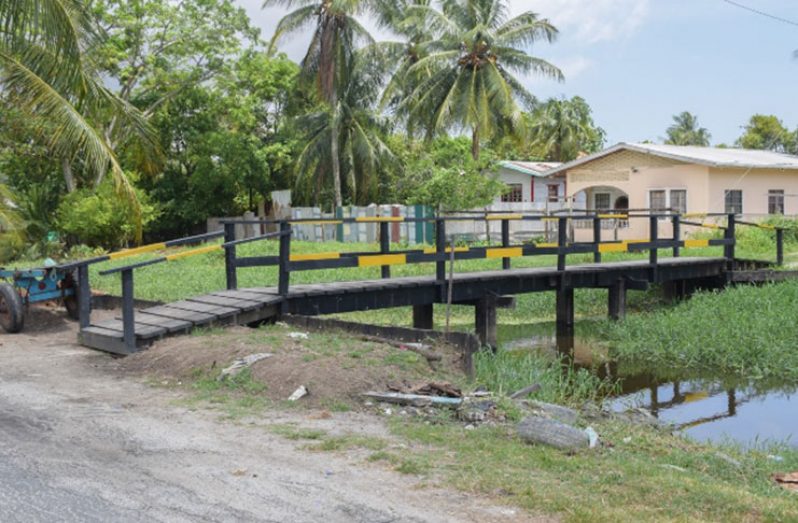 The bridge linking the two communities