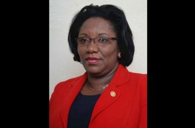 Chief Executive Officer of Credit Info, Judy Semple Joseph