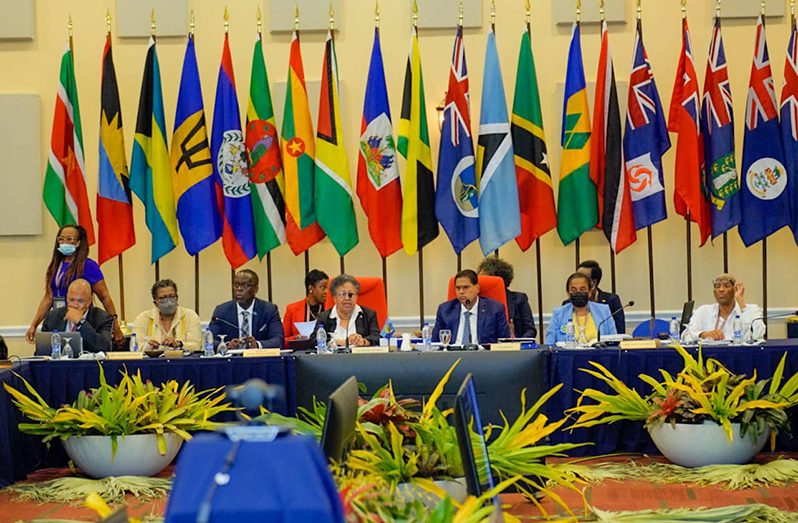 Delegates during the 43rd Regular Meeting of the CARICOM Heads of Government Meeting (Office of the President photo)