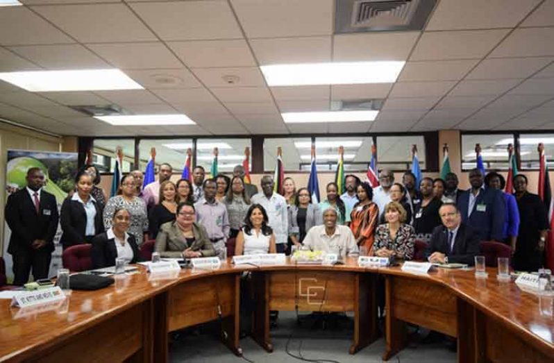 Regional delegates at the biodiversity workshop at the CARICOM Secretariat on Thursday