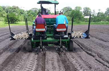 Mechanical planter at work at NAREI's Horticulture Station at Kairuni