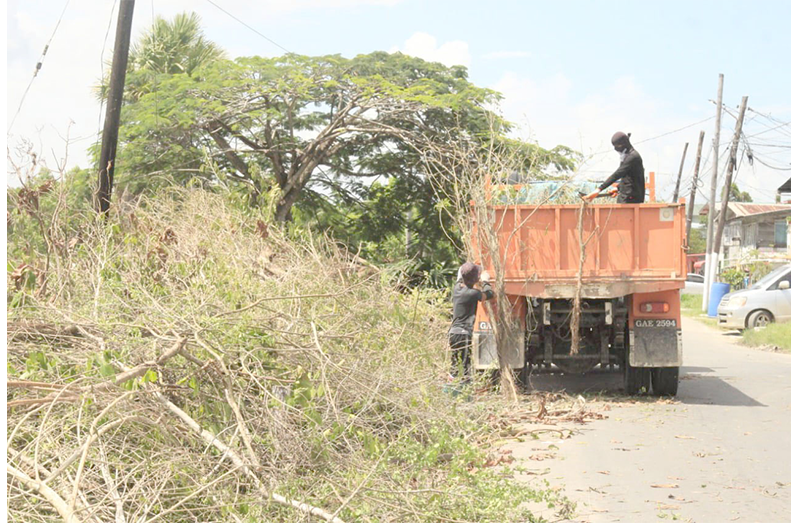 Land clearing is currently in progress at the Le Repentir Cemetery