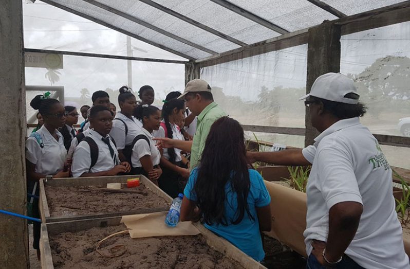 IICA’s Mr. Wilmot Garnett (third right) and NAREI’s Dr. Homenauth (right) explaining the benefits of charcoal-amended soils to visiting students