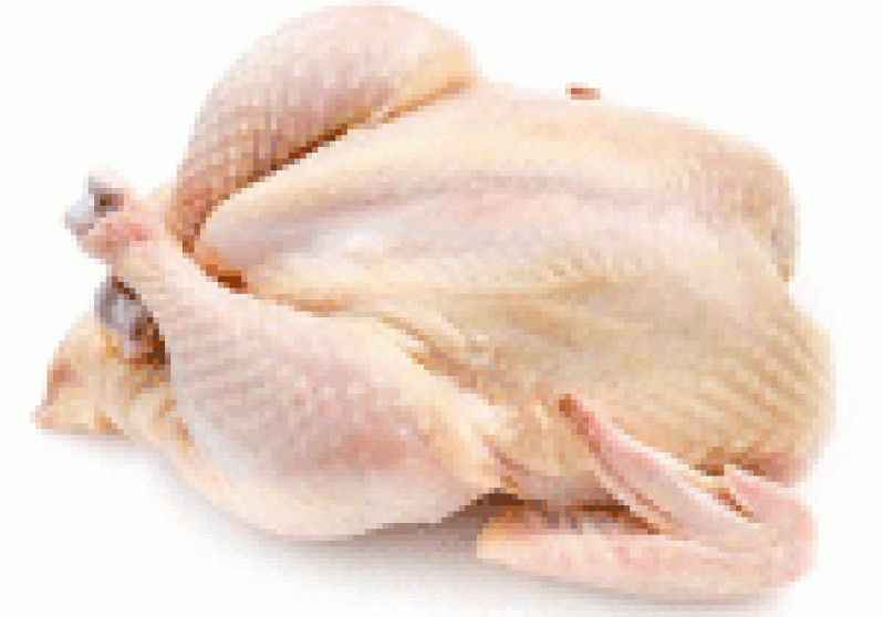 chicken