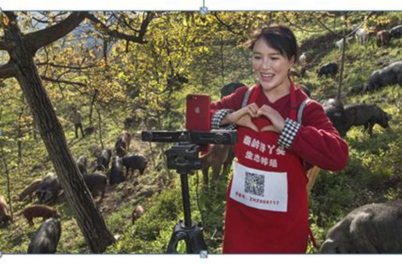 A host makes a heart shape while promoting her free-range pigs via a livestreaming platform in Luonan county, Shaanxi province, on April 27, 2020. [Photo/Xinhua]