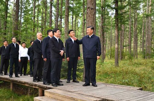 President Xi Jinping, also general secretary of the Communist Party of China Central Committee and chairman of the Central Military Commission, checks the growth of the trees, and learns about the promotion of the Saihanba spirit and the high-quality development of the Saihanba forest farm at a forest named after Wang Shanghai, a late official of the farm, in North China's Hebei province, Aug 23, 2021. Xi made an inspection tour of the Saihanba forest farm on Aug 23. [Photo/Xinhua]
