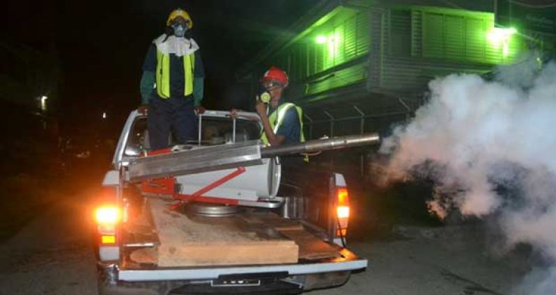 Vector Control Services staff fogging in a city area