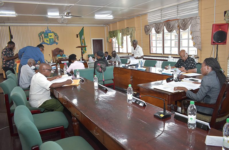 The Georgetown Mayor and City Council’s statutory meeting in progress (Carl Croker photo)