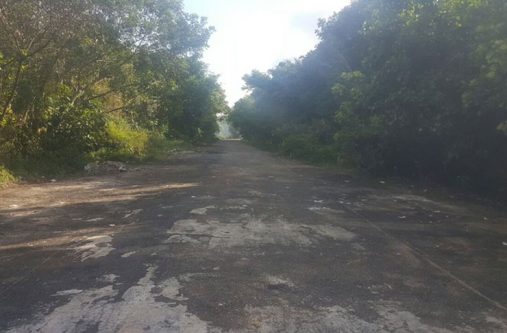 The area was cleaned up by Cevon’s following media reports on the illegal dumping
