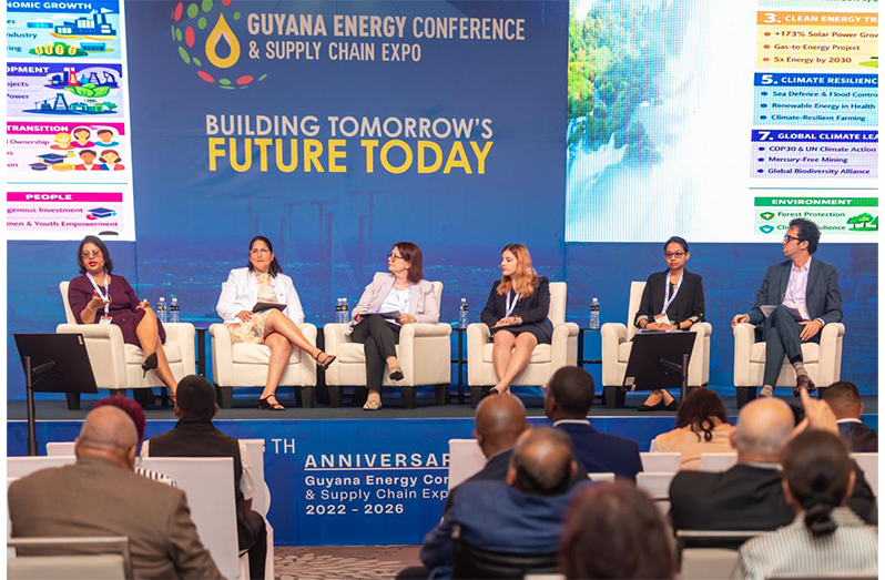 climate panel