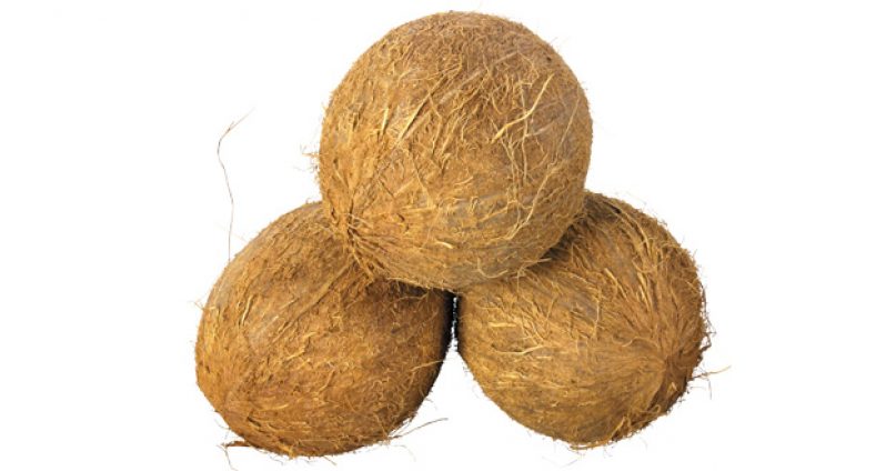 coconut