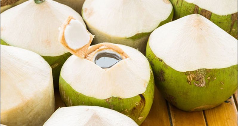 Coconut Festival slated for October - Guyana Chronicle