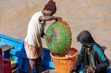 Collecting the catch
