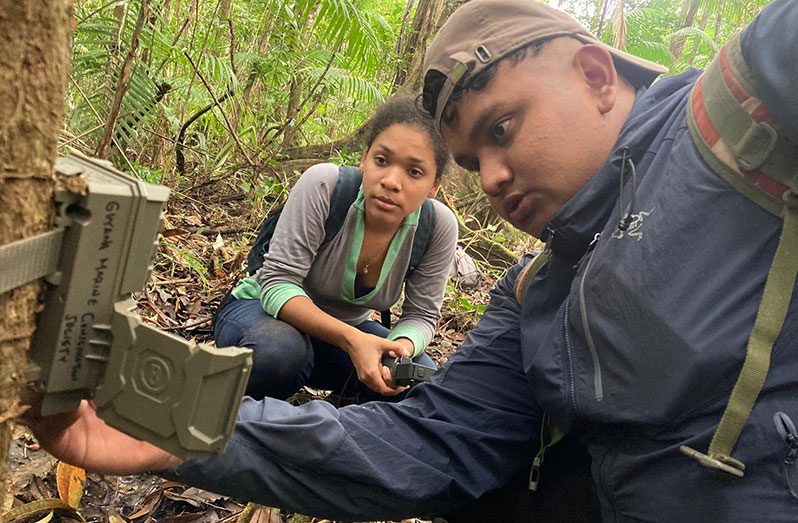 Collins along with a colleague setting up camera traps in the Barima Mora Passage