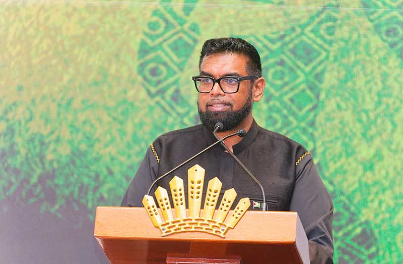 President, Dr Irfaan Ali (Delano Williams photos)