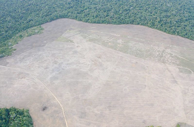 Back in January, some 3,000 more acres of land was being prepared for the cultivation of corn and soya bean