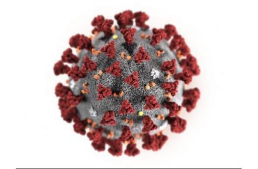 coronavirus