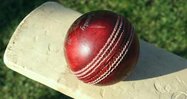 cricket