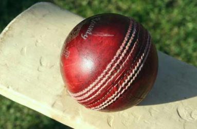 cricket