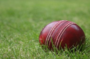 cricket_ball