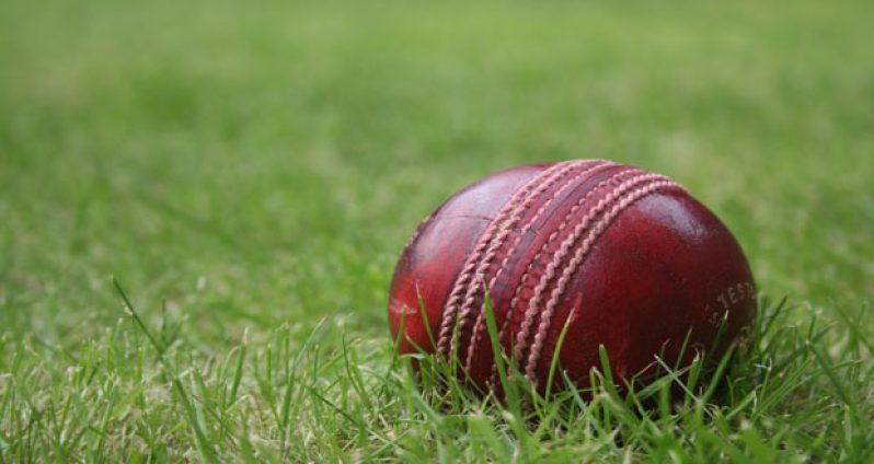 cricket_ball