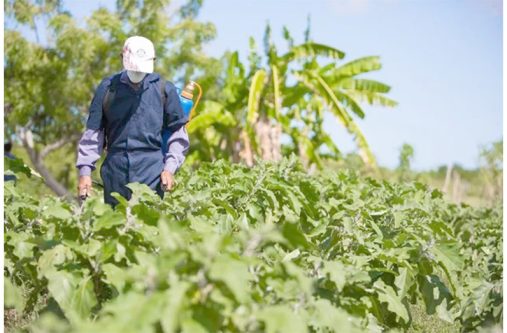 Guyana has invested heavily in increasing youth involvement in agriculture