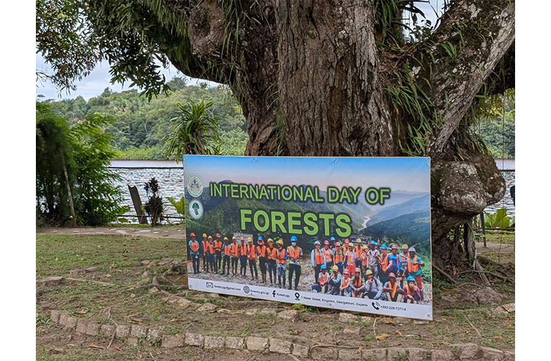 Guyana Forestry Commission observes International Day of the Forests (Photo: Guyana Forestry Commission/Facebook)