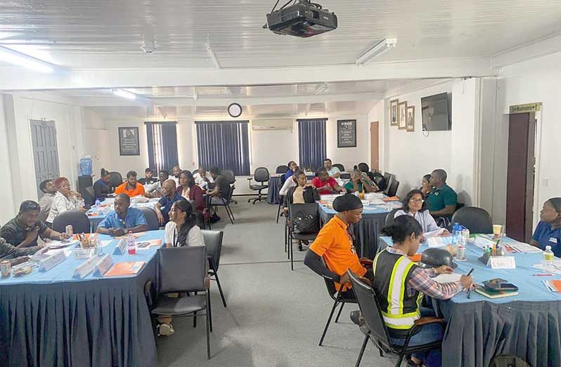 Day two of the OSH training for government employees (Ministry of Labour photo)