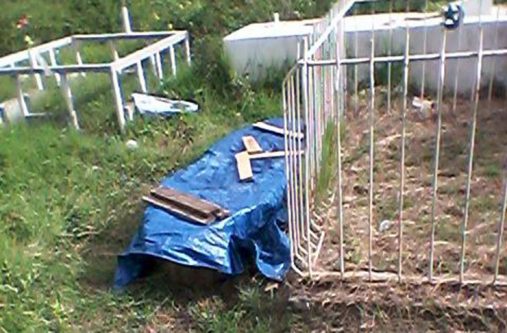 The covered remains of Goldburn December after it was found Sunday
